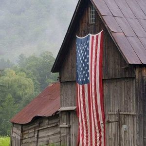 Meet your Posher, Alice